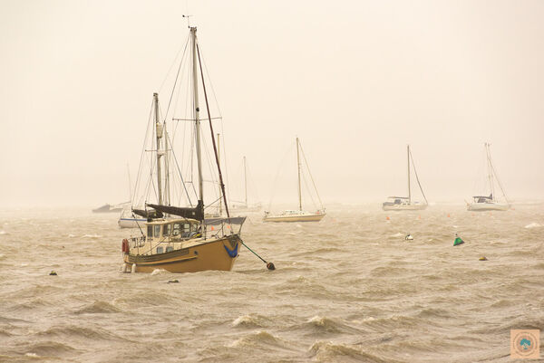 Storm Dennis at Keyhaven