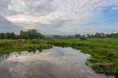 Early Morning in The Avon Valley