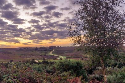 Early morning at Ashley Walk
