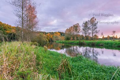 The River Avon below Sandy Balls 1