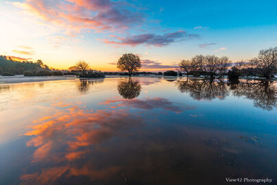 Janesmoor Pond Sunrise