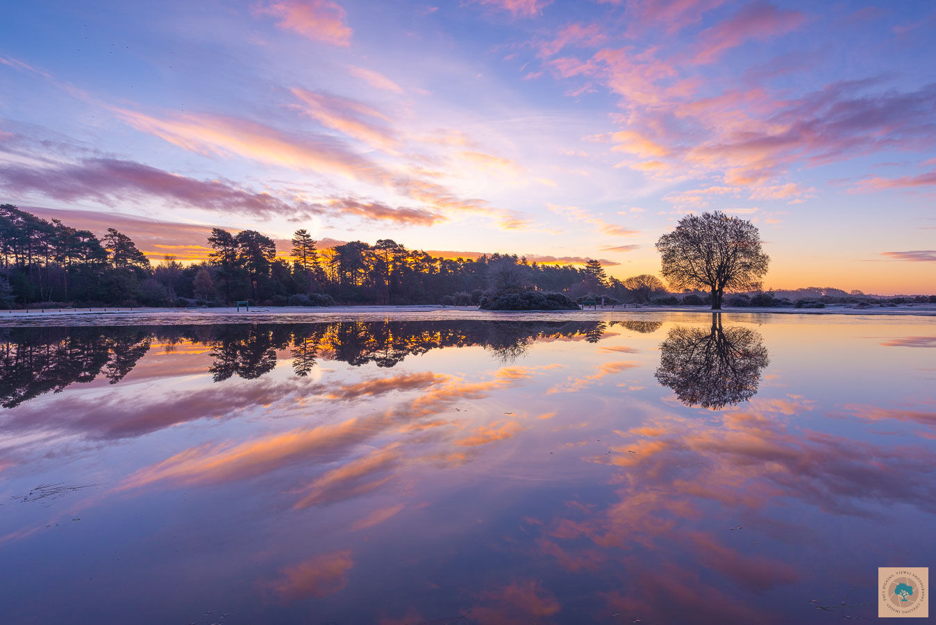December Sunrise at Janesmoor Pond