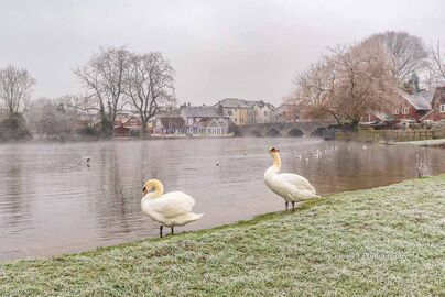 Fordingbridge