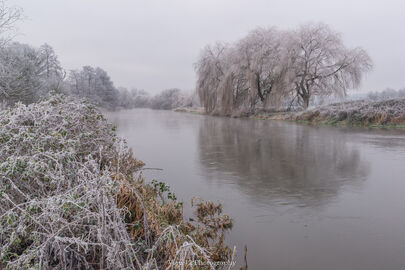 River Avon, Fordingbridge