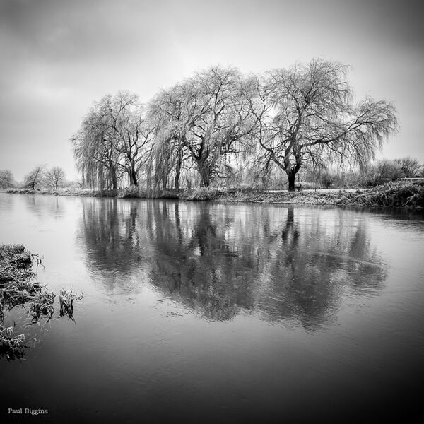 Avon River Reflection, Fordingbridge
