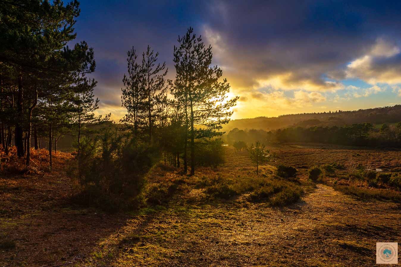 Warming Winter Sunset