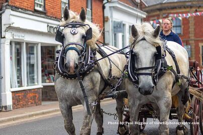 Heavy Horse Driving Trials 2022