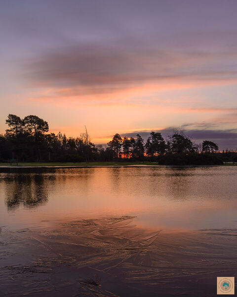 Winter morning at Janesmoor Pond
