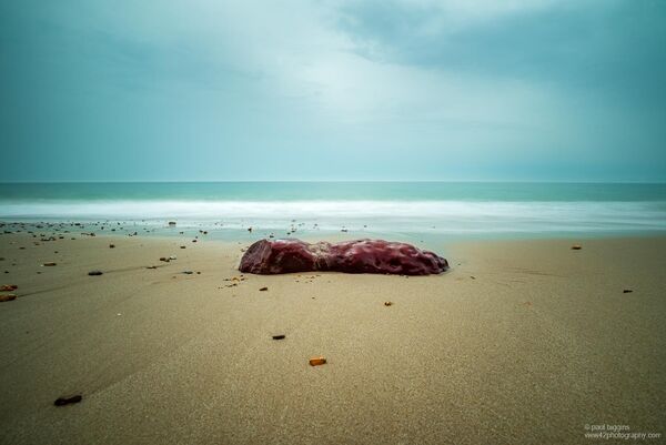 Red Rock at Hengistbury Head, Dorset