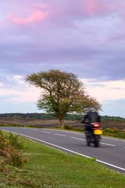 Biker at Deadman Corner