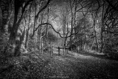 Colourless