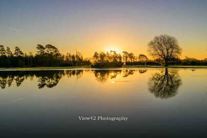 Janesmoor Pond Sunrise 2, New Forest