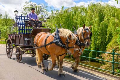 Delivering the Beacon Basket, Fordingbridge