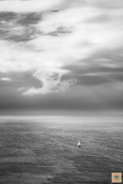 Windswept at Ringstead Bay