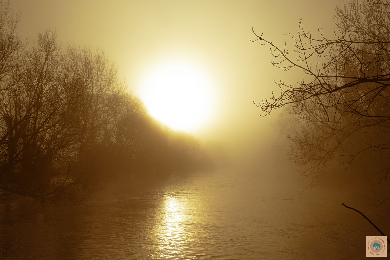 River Avon March Sunrise
