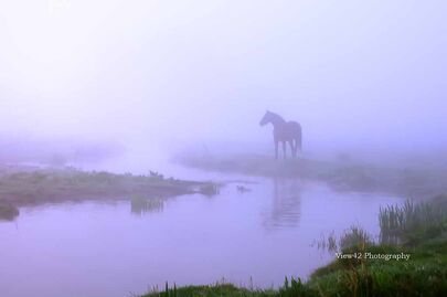 Avon Valley at Burgate
