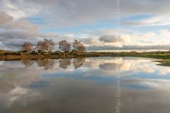 Abbots Well, Frogham, New Forest. 16" x 12" incl. mount. Fordingbridge New Forest print Abbots Well pond