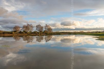 Abbots Well, Frogham, New Forest. 16" x 12" incl. mount. £20 Stuckton New Forest Abbots Well pond reflection print