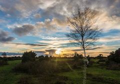A Winter Walk on Gorley Common. 20" x 16" incl. mount. Fordingbridge New Forest print winter sunset