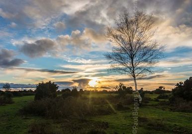 A Winter Walk on Gorley Common. 20" x 16" incl. mount. £30 New Forest watery winter sunset print
