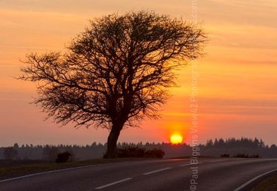 Sunset at Deadman Hill. Fordingbridge New Forest print Deadman Hill corner tree sunset