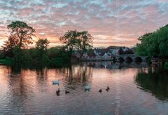 Speckled Fordingbridge