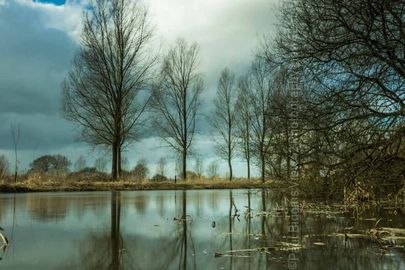 The Avon at Sandy Balls winter 2017 2018 Fordingbridge New Forest