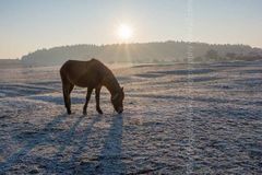 A Big Weather Event Coming winter 2017 2018 Fordingbridge New Forest