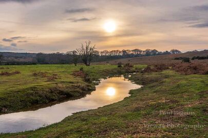 Ditchend Brook (landscape)