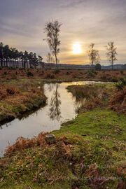 Ditchend Brook