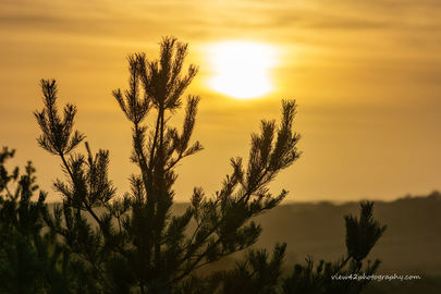 Watery Winter Sunset