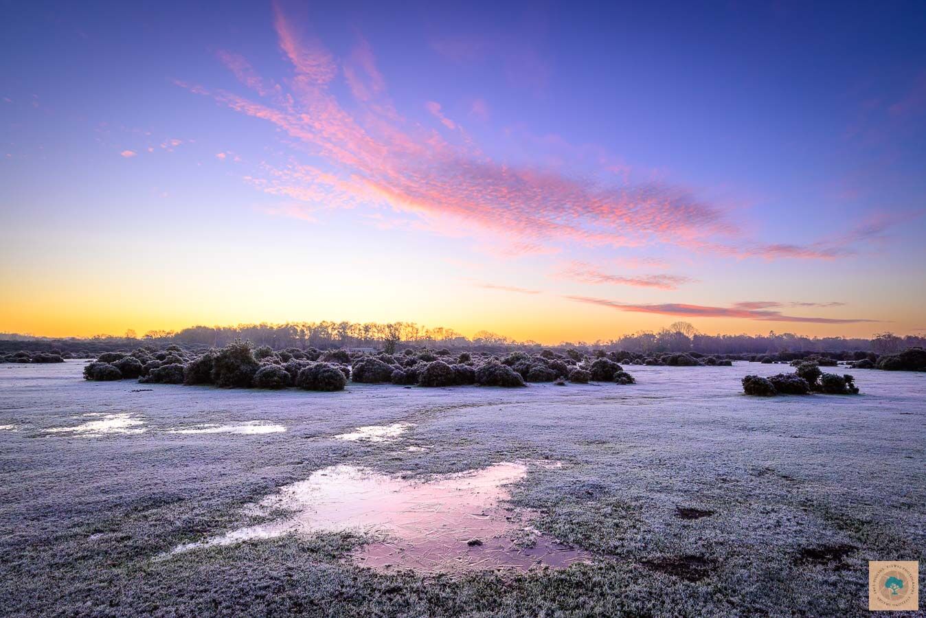 Frost on Rockford Common