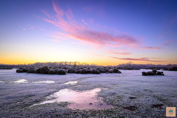 Frost on Rockford Common