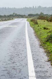 Rain Storm at Deadman Hill