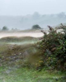 New Forest Washout