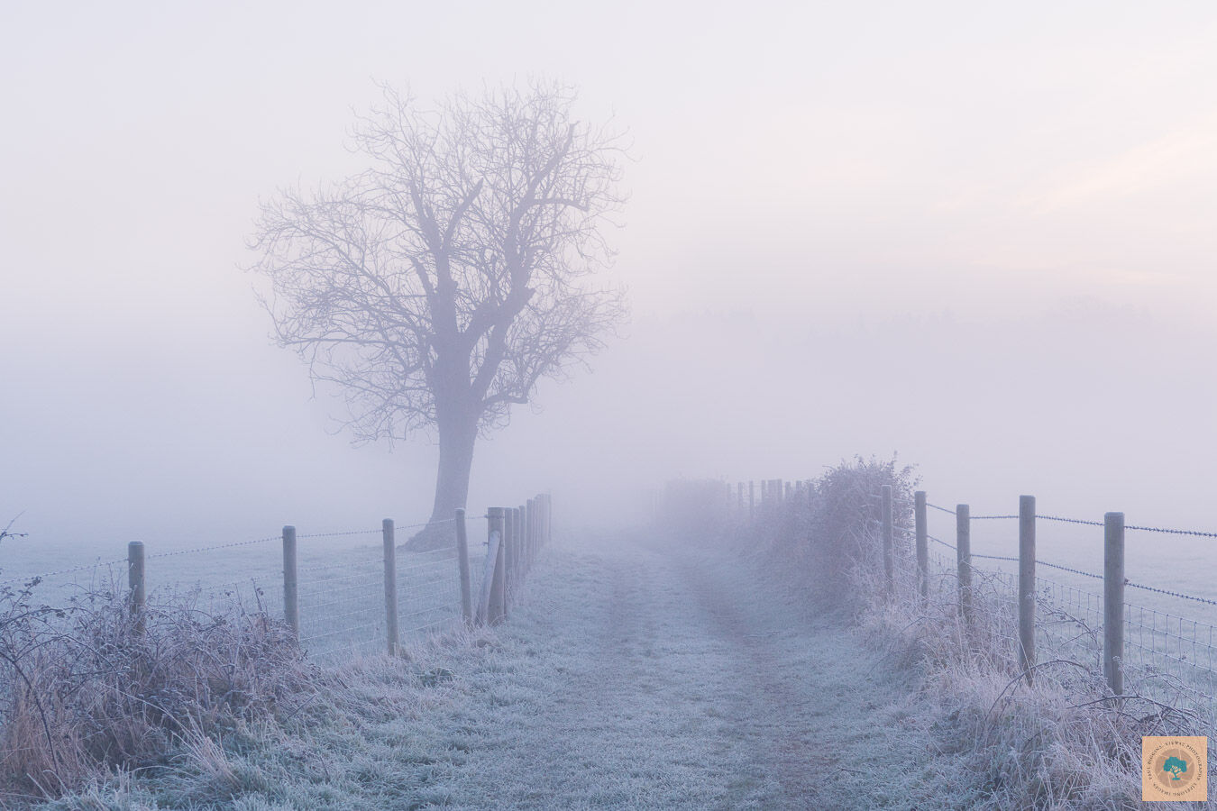 Fog on Avon Valley Footpath