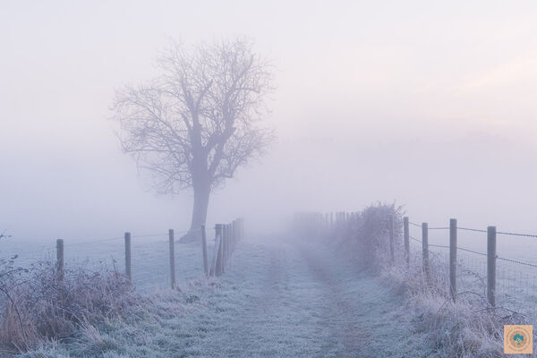 Fog on Avon Valley Footpath