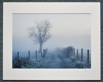 Avon Valley Footpath, A3 print with 20" x 16" mount. £28