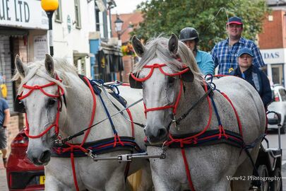 Heavy Horse Trials 2021