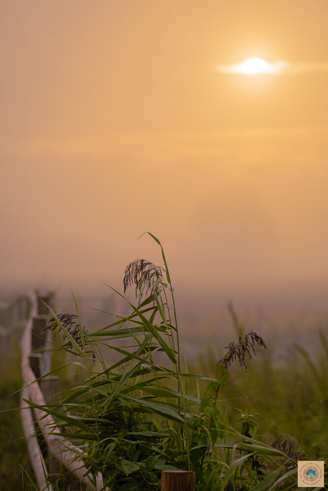 September Morning