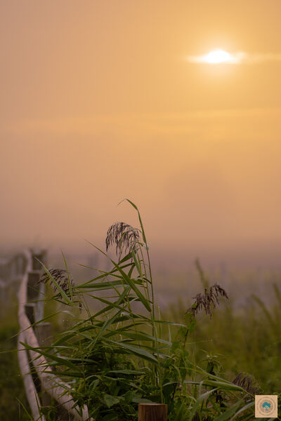 September Morning