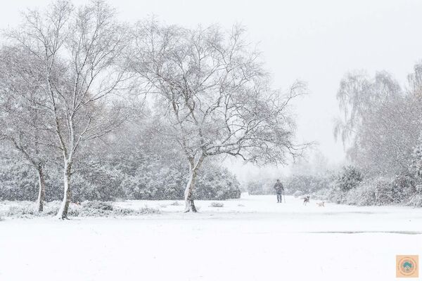 Snowstorm at Godshill