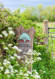 New Forest, Way In 16" x 12" incl. mount. £20