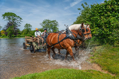 Splashing Out at The Hay Wain. 24" x 18" incl. mount, fine art paper. £45
