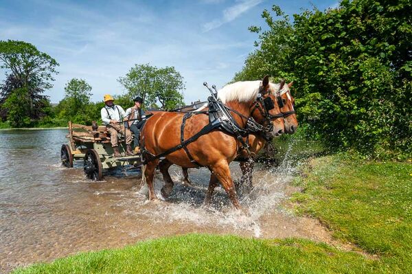 'Hay Wain' Splashing Out, Fordingbridge
