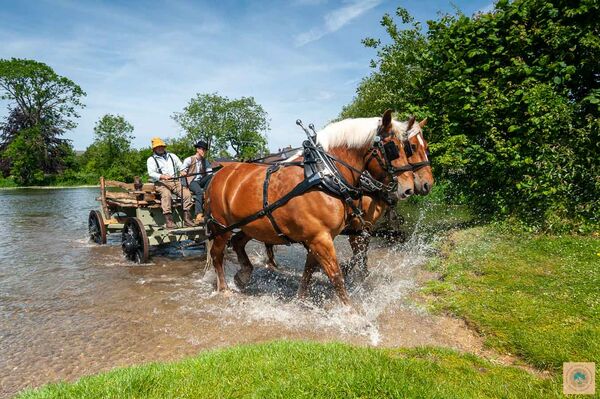 Fordingbridge 'Hay Wain' - Splashing Out