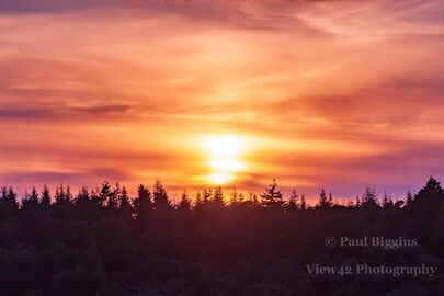 Sunset over Godshill Wood