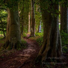 Rockbourne Footpath, 30cm x 30cm with 40cm x 40cm mount
