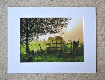 Mist Morning Footpath, Avon Valley, A4 print with 16" x 12" mount. £20