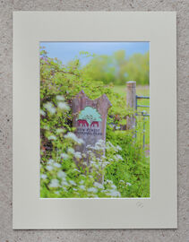 New Forest, The Way In at Burgate Manor Farm, A4 print with 16" x 12" mount. £20